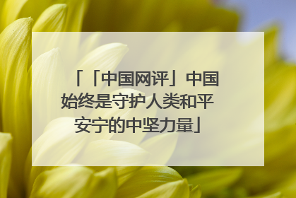 「中国网评」中国始终是守护人类和平安宁的中坚力量