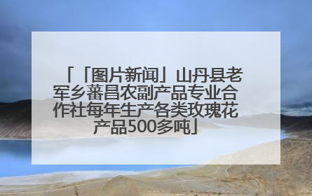 「图片新闻」山丹县老军乡蕃昌农副产品专业合作社每年生产各类玫瑰花产品500多吨