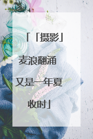 「摄影」麦浪翻涌 又是一年夏收时