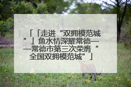 「走进“双拥模范城”」鱼水情深耀常德——常德市第三次荣膺“全国双拥模范城”