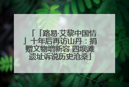 「路易·艾黎中国情」十年后再访山丹：捐赠文物增新容 四坝滩遗址诉说历史沧桑
