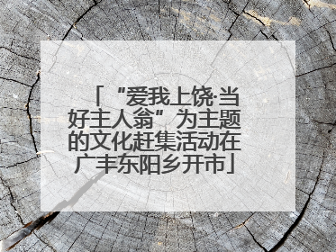 “爱我上饶·当好主人翁”为主题的文化赶集活动在广丰东阳乡开市