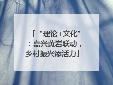 “理论+文化”：嘉兴黄岩联动，乡村振兴添活力
