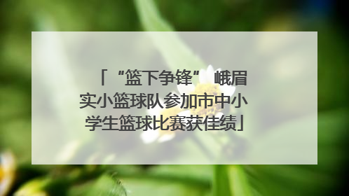 “篮下争锋” 峨眉实小篮球队参加市中小学生篮球比赛获佳绩