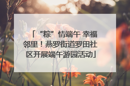 “粽”情端午 幸福邻里！燕罗街道罗田社区开展端午游园活动