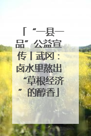 “一县一品”公益宣传丨武冈：卤水里熬出“草根经济”的醇香