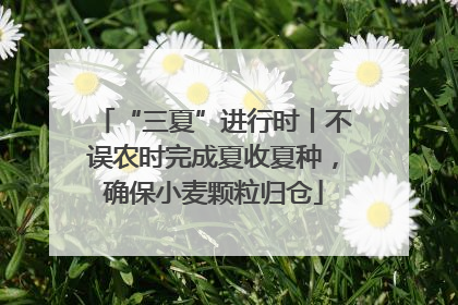 “三夏”进行时丨不误农时完成夏收夏种，确保小麦颗粒归仓