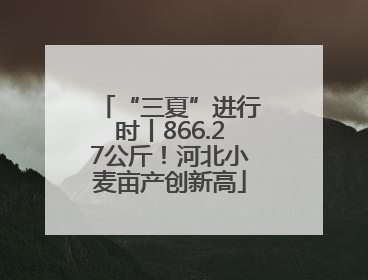 “三夏”进行时丨866.27公斤！河北小麦亩产创新高