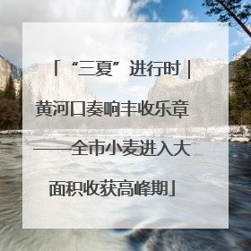 “三夏”进行时｜黄河口奏响丰收乐章——全市小麦进入大面积收获高峰期