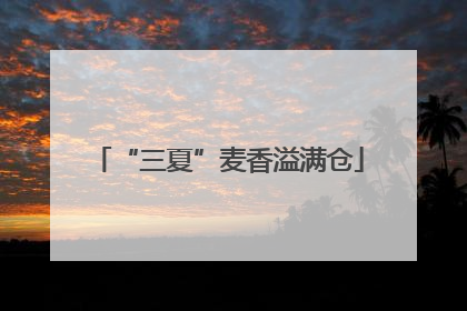 “三夏”麦香溢满仓