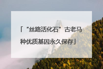 “丝路活化石”古老马种优质基因永久保存