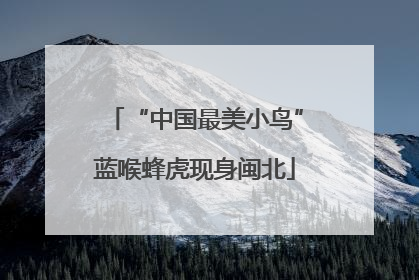 “中国最美小鸟”蓝喉蜂虎现身闽北