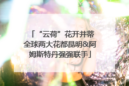 “云荷”花开并蒂 全球两大花都昆明&阿姆斯特丹强强联手