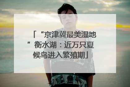 “京津冀最美湿地”衡水湖：近万只夏候鸟进入繁殖期