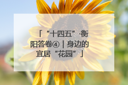 “十四五”·衡阳答卷④｜身边的宜居“花园”