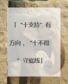“十支持”有方向，“十不得”守底线