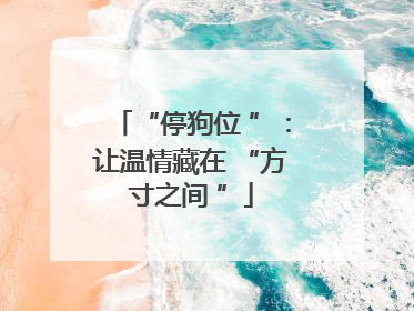 “停狗位 ”：让温情藏在 “方寸之间 ”
