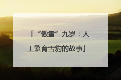 “傲雪”九岁：人工繁育雪豹的故事