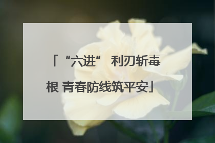 “六进” 利刃斩毒根 青春防线筑平安