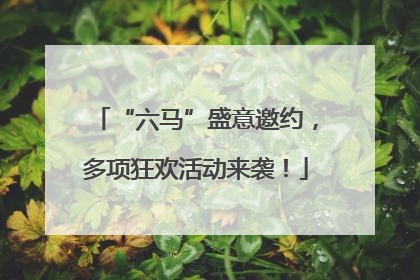 “六马”盛意邀约，多项狂欢活动来袭！