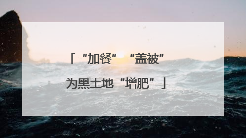 “加餐”“盖被” 为黑土地“增肥”