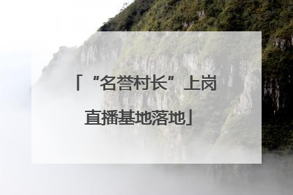 “名誉村长”上岗 直播基地落地