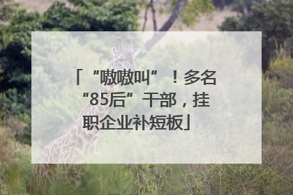 “嗷嗷叫”！多名“85后”干部，挂职企业补短板