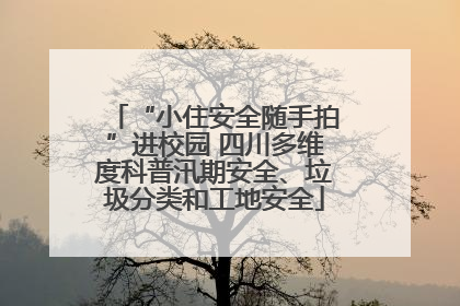 “小住安全随手拍”进校园 四川多维度科普汛期安全、垃圾分类和工地安全