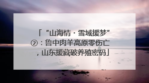 “山海情・雪域援梦”②：鲁中肉羊高原零伤亡，山东援藏破养殖密码
