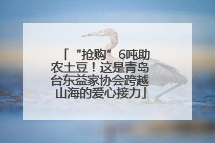 “抢购”6吨助农土豆！这是青岛台东益家协会跨越山海的爱心接力