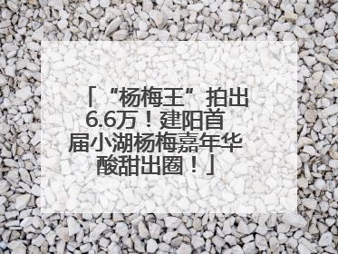 “杨梅王”拍出6.6万！建阳首届小湖杨梅嘉年华酸甜出圈！