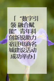 “数字引领 融合赋能”青年科创新锐助力宿迁电商名城建设活动成功举办