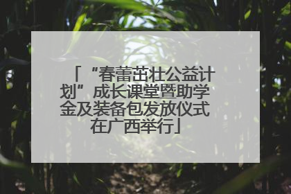 “春蕾茁壮公益计划”成长课堂暨助学金及装备包发放仪式在广西举行