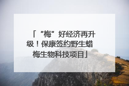 “梅”好经济再升级！保康签约野生蜡梅生物科技项目