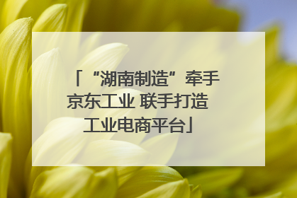 “湖南制造”牵手京东工业 联手打造工业电商平台