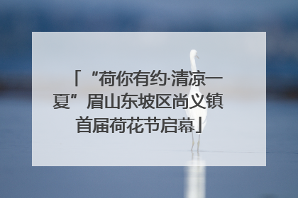 “荷你有约·清凉一夏”眉山东坡区尚义镇首届荷花节启幕