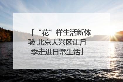 “花”样生活新体验 北京大兴区让月季走进日常生活