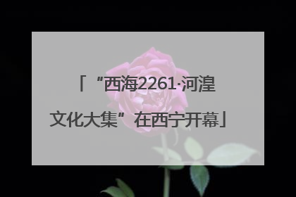 “西海2261·河湟文化大集”在西宁开幕