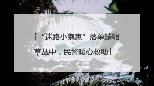 “迷路小狍崽”落单蜷缩草丛中，民警暖心救助