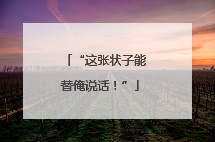 “这张状子能替俺说话！”