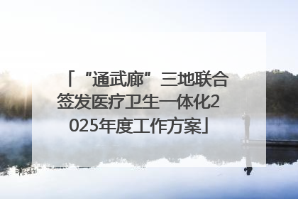 “通武廊”三地联合签发医疗卫生一体化2025年度工作方案