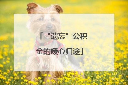 “遗忘”公积金的暖心归途