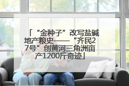 “金种子”改写盐碱地产粮史——“齐民27号”创黄河三角洲亩产1200斤奇迹
