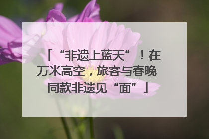 “非遗上蓝天”！在万米高空，旅客与春晚同款非遗见“面”