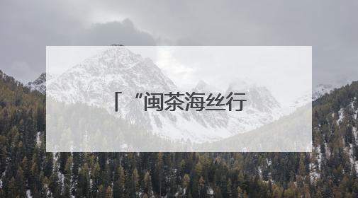 “闽茶海丝行”香满土耳其