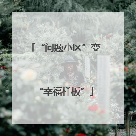 “问题小区”变“幸福样板”