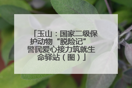 玉山：国家二级保护动物“脱险记” 警民爱心接力筑就生命驿站（图）