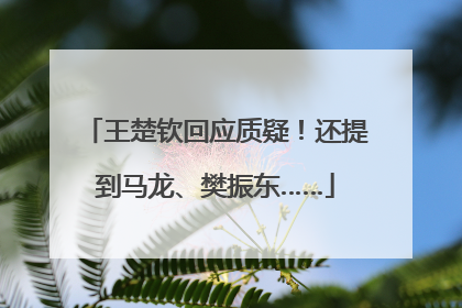 王楚钦回应质疑！还提到马龙、樊振东……