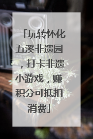 玩转怀化五溪非遗园，打卡非遗小游戏，赚积分可抵扣消费