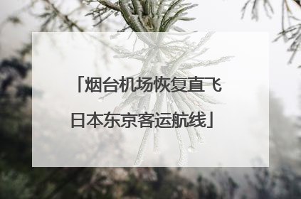 烟台机场恢复直飞日本东京客运航线